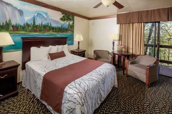 Best Western Plus Yosemite Gateway Inn image 28
